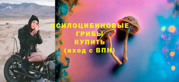 дмт Карпинск