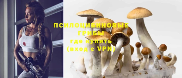 PSILOCYBIN Касимов