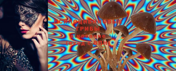 PSILOCYBIN Касимов