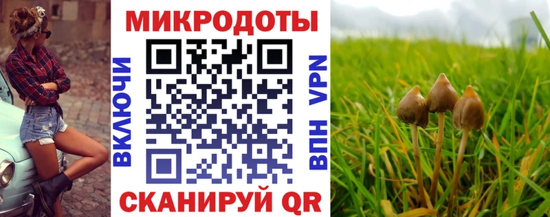 Псилоцибиновые грибы MAGIC MUSHROOMS МЕГА зеркало Пугачёв