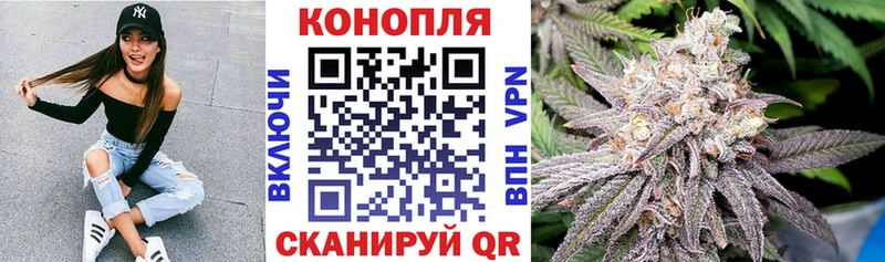 МАРИХУАНА Amnesia  Пугачёв 